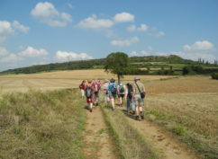 Balade d’été