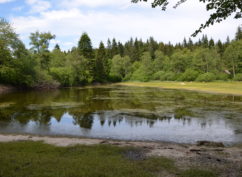 A la découverte de la biodiversité à l’ Étang de Préperny