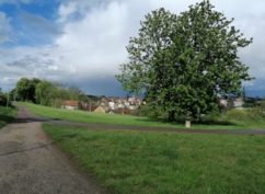 Chemin des Arts