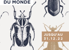 6 pattes à la conquête du monde (exposition temporaire sur les insectes)