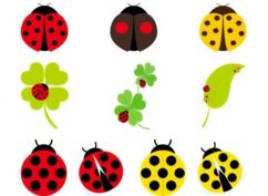 Jolies Coccinelles