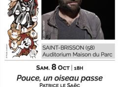 Pouce, un oiseau passe