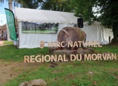 Fête de l’automne & des associations édition 2022