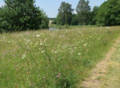 Des réunions d’information sur les nouvelles MAEC pour les agricultrices et agriculteurs du Parc naturel régional du Morvan