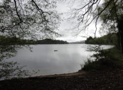 [Balade nature] A la découverte du Lac des Settons : entre histoire et biodiversité Journée mondiale des zones humides