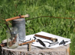 De l’usage des plantes – Plastiques et inspirantes