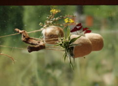 De l’usage de la laine – Suspensions florales extravagantes et feutrées