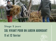 Stage : permaculture en pratique