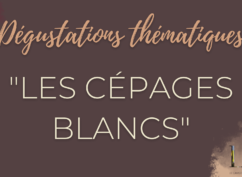 Dégustation de vin » Les cépages blancs »