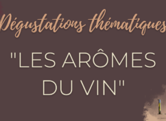 Dégustation de vin « Les arômes du vin »