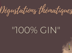 Dégustation « 100% gin »