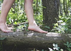 Morvan Autrement : Le Sud Morvan c’est le pied !