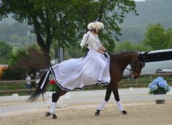Championnat départemental de dressage
