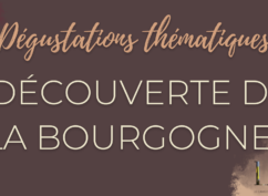 Dégustation de vin « Découverte de la Bourgogne »
