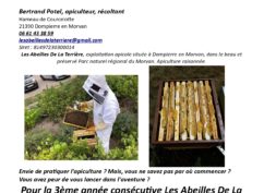 Stage d’initiation à l’apiculture
