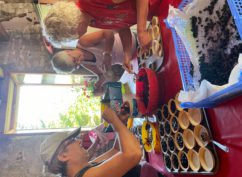 Fête des Myrtilles