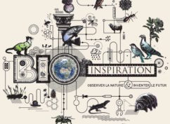 Ateliers bio inspiration au museum pour les 4/6 ans