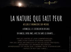 Atelier Nature « même pas peur! »