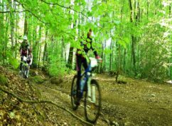 Randonnées pédestres et VTT