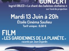 Concert-ciné : Ingrid OBLED & les baleines