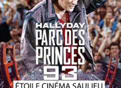 Concert : Johnny Hallyday Parc des Princes 93