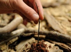 SORTIES NATURE et ATELIERS « Rien Que Pour Vous ! »