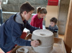 Musée décalé : Une visite en famille au musée de Bibracte