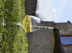 Dégustation Chardonnay du Monde