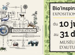 Exposition Temporaire : Bio’Inspiration, Observer la nature & Inventer le futur