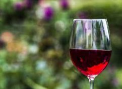 Dégustation de vins au restaurant Odessa l’école.