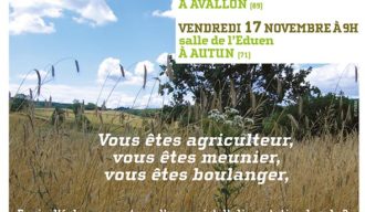 image actualité