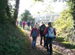 La Marche Historique à Vézelay