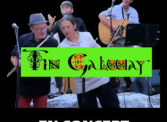 Tin Galway : Musique traditionnelle celtique