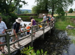 Saison touristique 2024