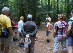 RDV AU PARC PENDANT LES VACANCES DE PÂQUES