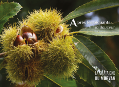 QUEL(S) PATRIMOINE(S) GÉNÉTIQUE(S) POUR LES CHÂTAIGNES ET MARRONS DU MORVAN ?