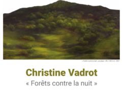 Forêt contre la nuit