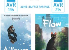 Projection de 2 films d’animation : « AILLEURS » et « FLOW »