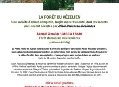 La forêt du Vézelien