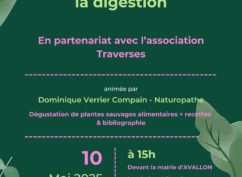 Découvertes des plantes médicinales de la digestion