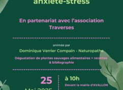 Découvertes des plantes médicinales contre le stress et l’anxiété