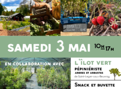 Marché aux Plantes BIO