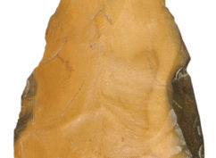 Archéologue en herbe (Atelier 7-12 ans)