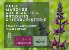 Marché aux plantes