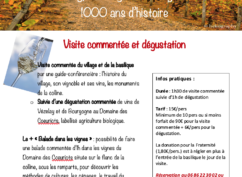 Visite –  dégustation à Vézelay