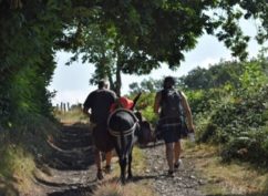 Bibracte fête la nature