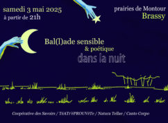 Ballade sensible et poétique dans la nuit