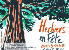 Herbiers en Fête