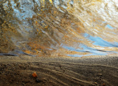 Exposition de photographies sur l’eau