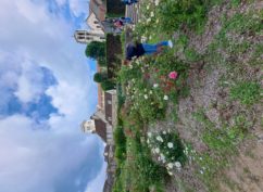 Visite-dégustation à Vézelay